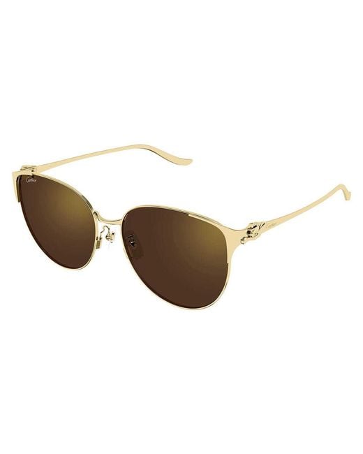 Cartier Multicolor Cat-Eye Sunglasses for men