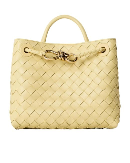 Bottega Veneta Metallic Simple Handbag