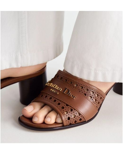 Dior Brown D-Lane Heeled Slide