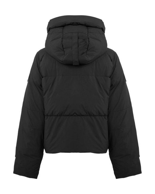 Canada Goose Black Hooded Short Puffer Jacket