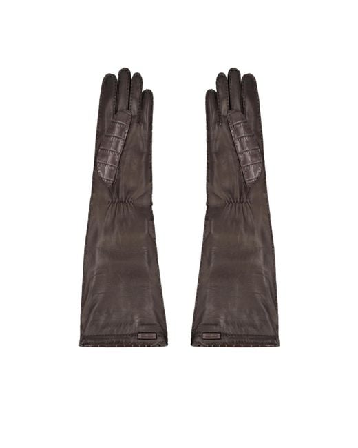 Miu Miu Brown Five-Finger Gloves