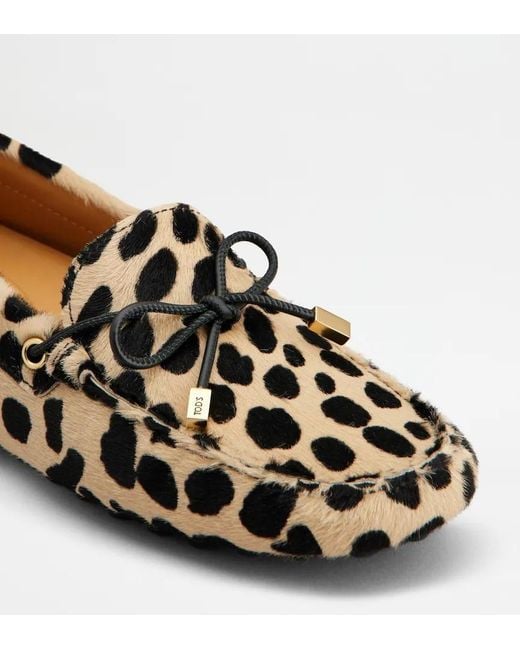 Tod's Multicolor Gommino Loafers