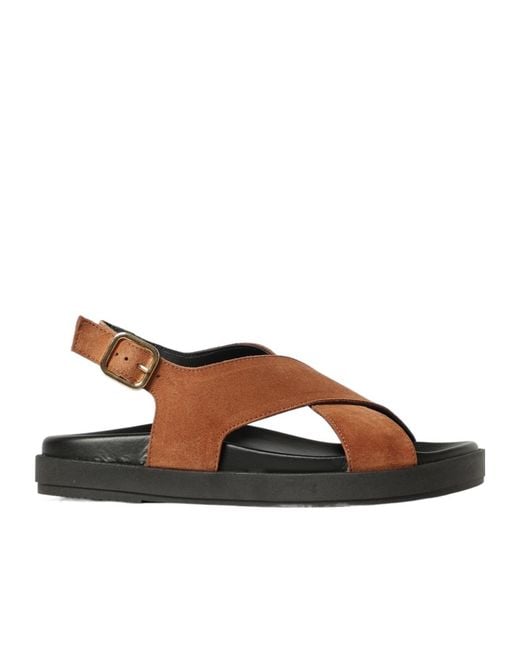 Alohas Brown Nico Sandals