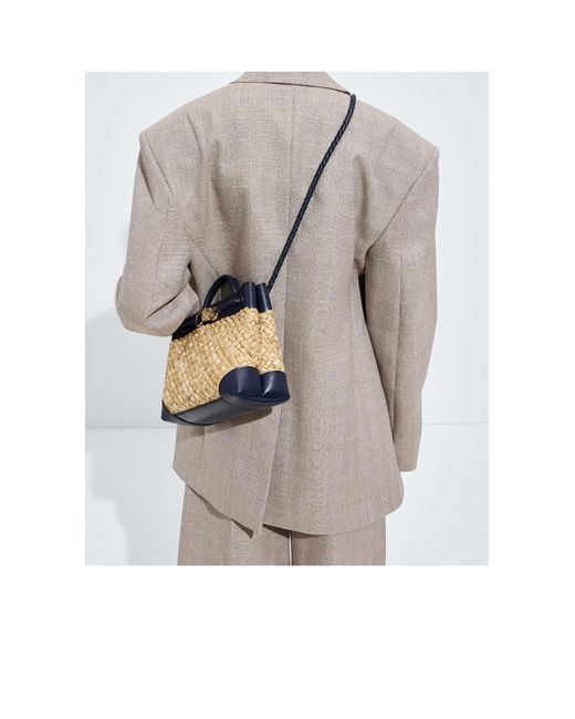 Bottega Veneta Metallic Small Andiamo