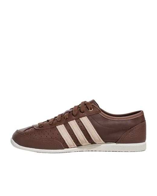 Adidas Originals Brown Lace-Up Sneakers
