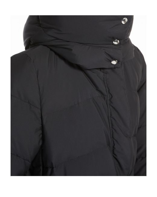 Sportmax Black Barbian Belted High Neck Jacket