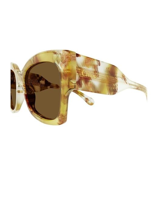 Chloé Multicolor Oversize-Frame Sunglasses