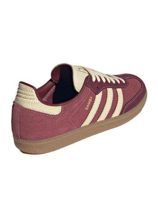 Adidas Originals Brown Samba Leather Sneakers for men