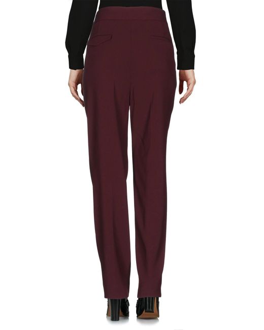 Marni Purple Minimalist Solid Casual Pants
