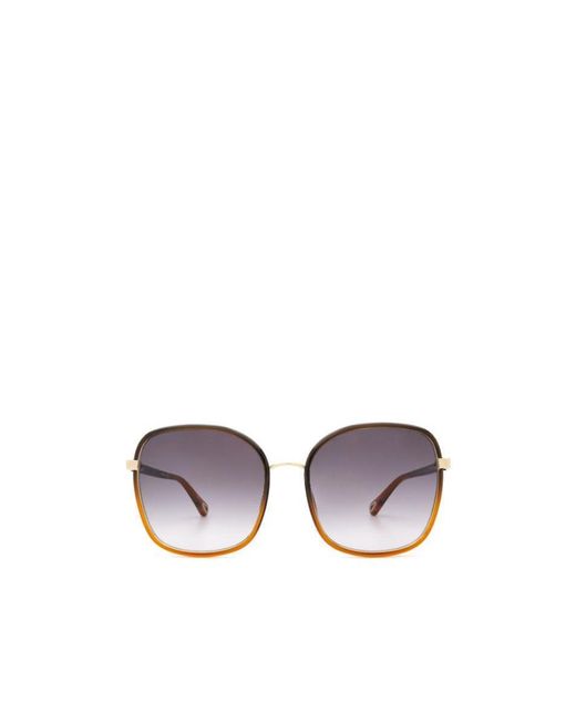 Chloé White Tinted Oversize-Frame Sunglasses