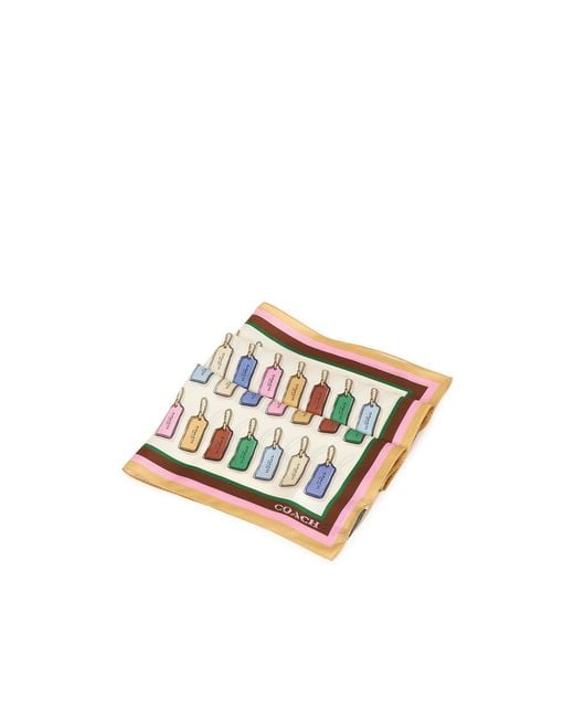 COACH White Printed Silk Scarf