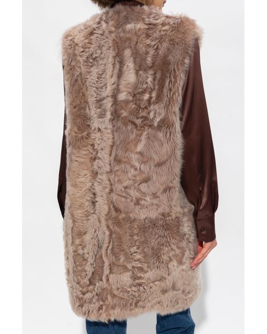 Dolce & Gabbana Brown Sleeveless Coat