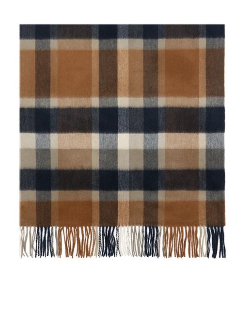 Weekend by Maxmara Multicolor Checkered Fringed Scarf