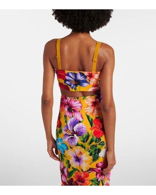 Dolce & Gabbana Multicolor Floral Silk-Blend Crop Top