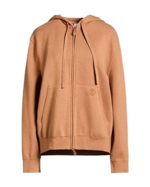 Burberry Brown Simple Hoodie