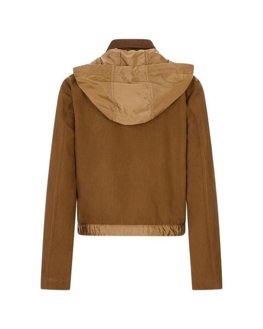 Moncler Brown Aconitum Jacket