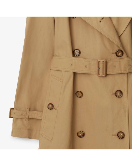 Burberry Natural Trench Double-Breasted Windbreaker