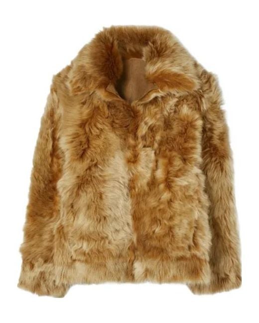Tory Burch Brown Collar Shearling Jacket