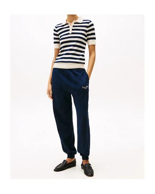Tommy Hilfiger Blue Striped Polo Shirt