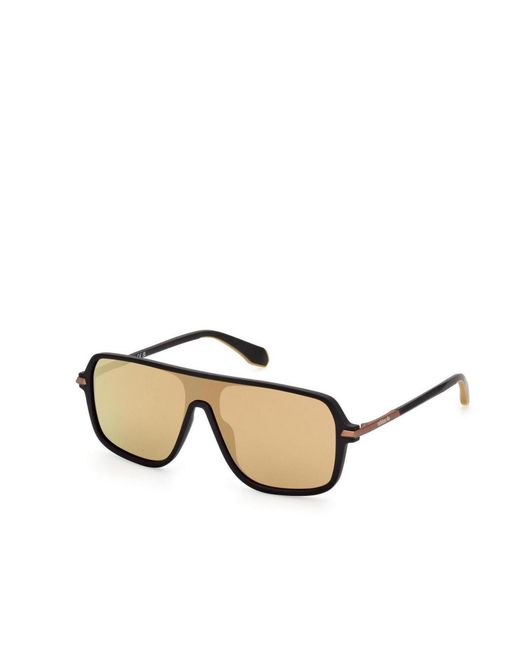 Adidas Originals Natural Geometric Sunglasses for men