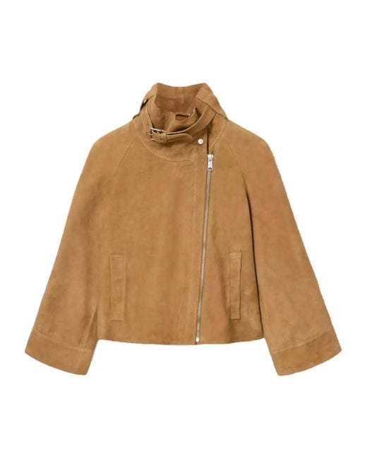 AllSaints Brown Rhodes Leather Jacket
