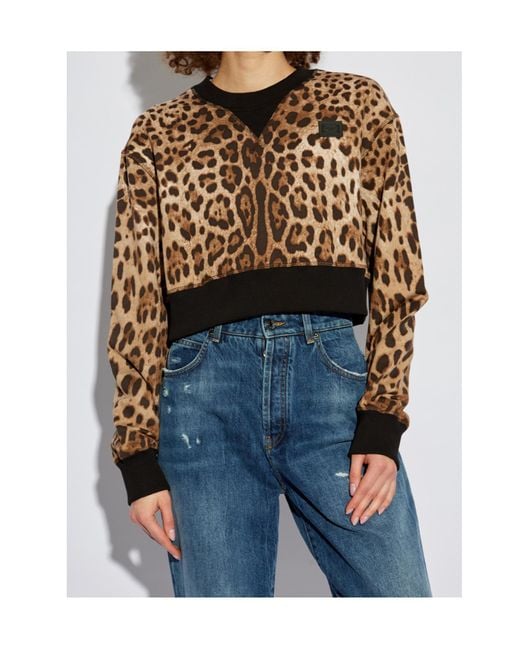 Dolce & Gabbana Black Leopard Printed Sweatshirt