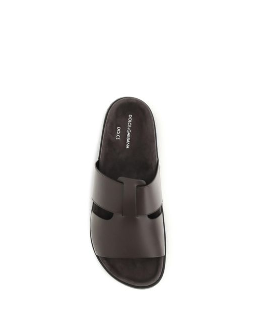 Dolce & Gabbana Brown Logo Detailed Slides for men