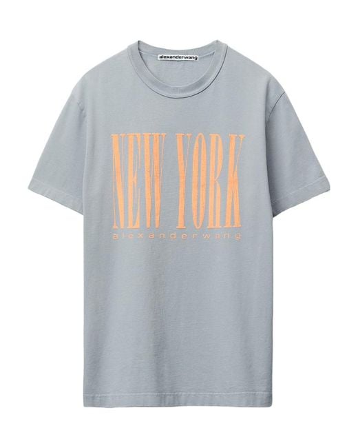 Alexander Wang Gray Graphic Printed Crewneck T-Shirt