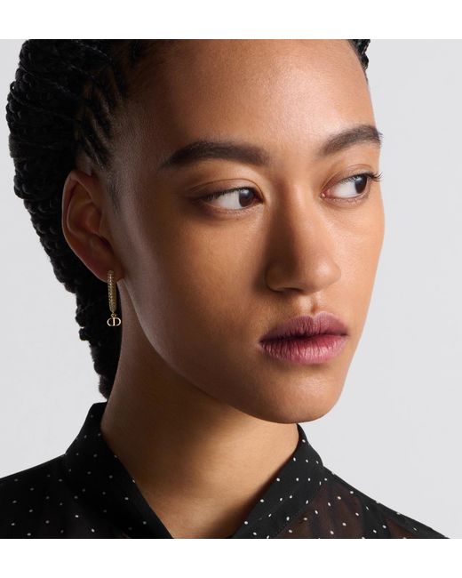 Dior Metallic D-Fusion Earrings