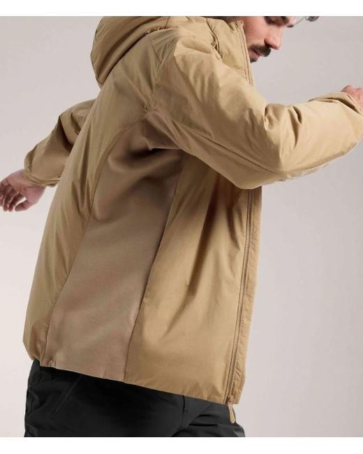 Arc'teryx Natural Atom Hoody for men