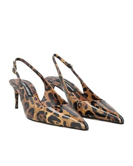 Dolce & Gabbana Brown Leopardprint Pointedtoe Stilettoheel Highheels