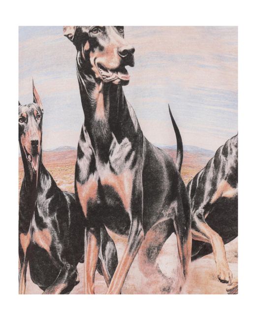 Represent White Western Dobermans Graphic Hoodie for men