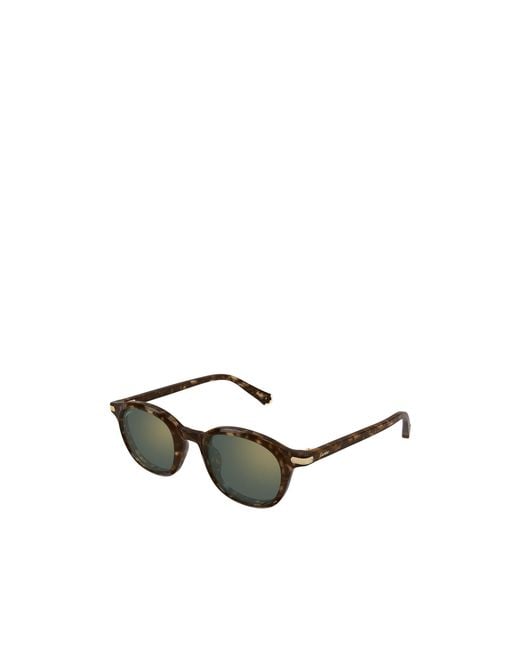 Cartier Green Ct0584S Oval Sunglasses for men