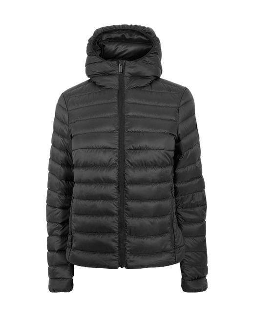 Canada Goose Black Short Down Jacket