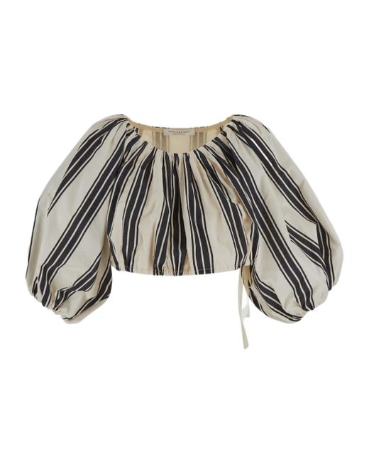 Philosophy Di Lorenzo Serafini Multicolor Striped Cropped Top