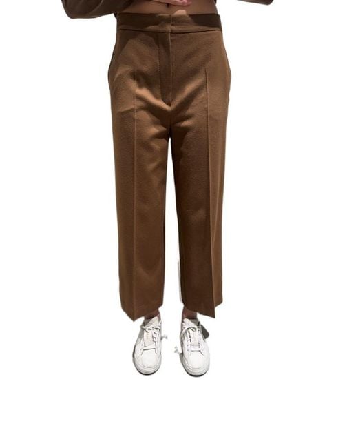 Max Mara Brown Pleated Casual Pants
