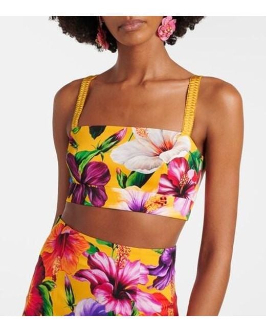 Dolce & Gabbana Multicolor Floral Silk-Blend Crop Top