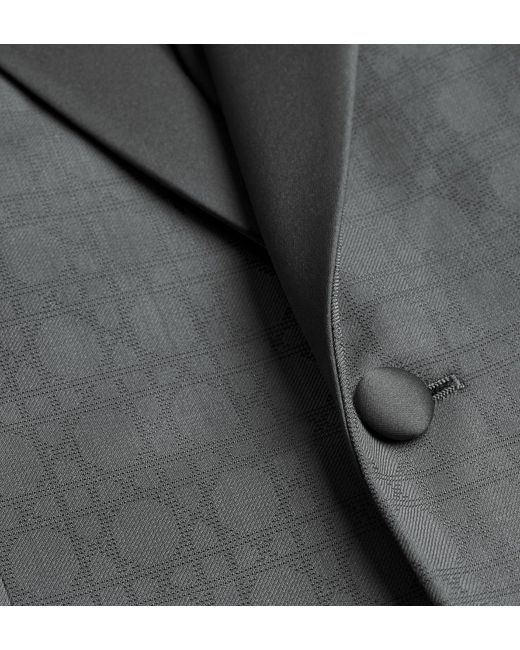 Dior Gray Long-Sleeved Suit Jacket Set for men