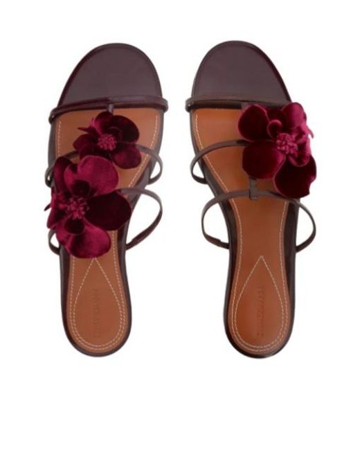 Zimmermann Purple Orchid Slide Floral-Applique Sandals