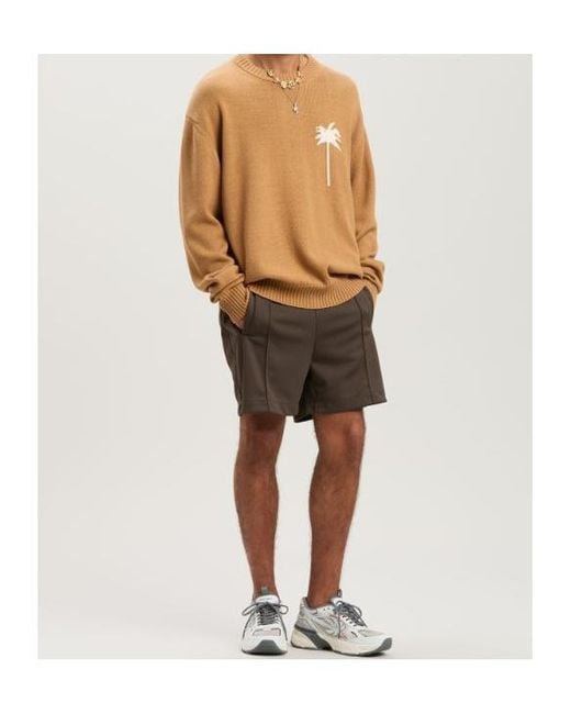 Palm Angels Brown Palm Tree Intarsia Crewneck Knitted Jumper for men