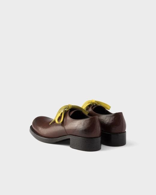 Prada Brown Antiqued Leather Lace-Up Shoes