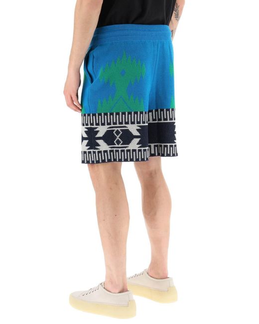 Alanui Blue Intarsia Motif Drawstring Shorts for men