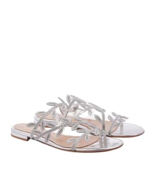 Gianvito Rossi White Minimalist Flat Sandals