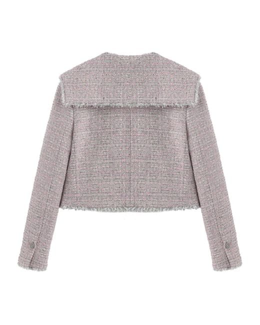 Marissa Chiara Gray Lapel Jacket