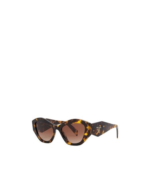 Prada Multicolor Cat-Eye Sunglasses