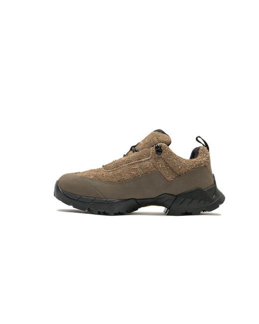 Roa Brown Shoes