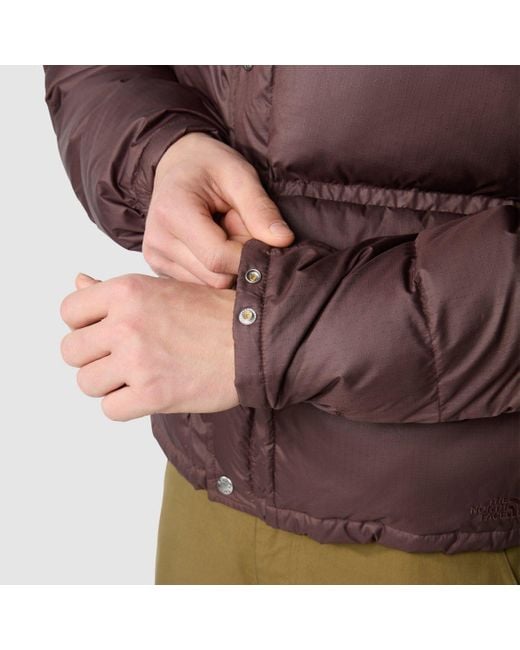 The North Face Brown '71 Sierra Down Jacket for men