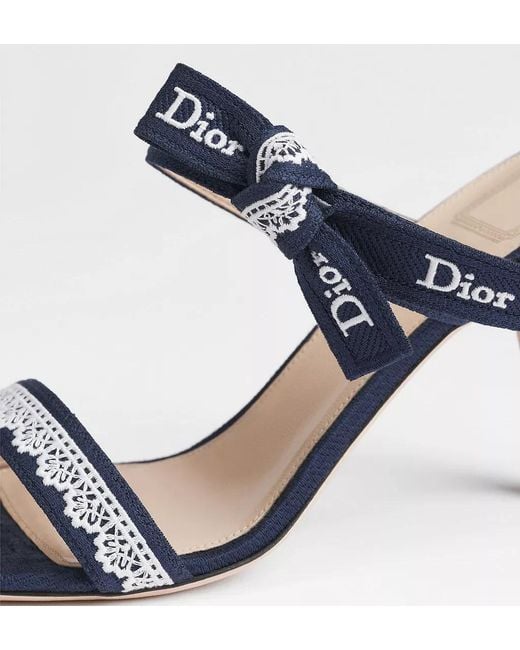 Dior Blue J'A Heeled Sandal With Straps