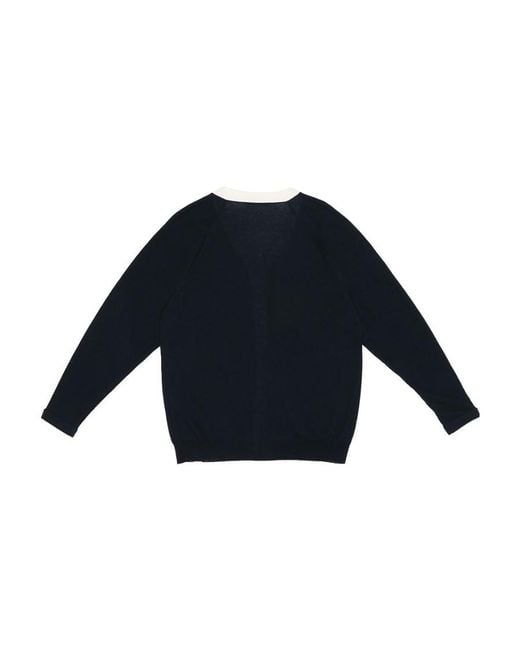 Max Mara Blue V-Neck Long-Sleeved Sweater