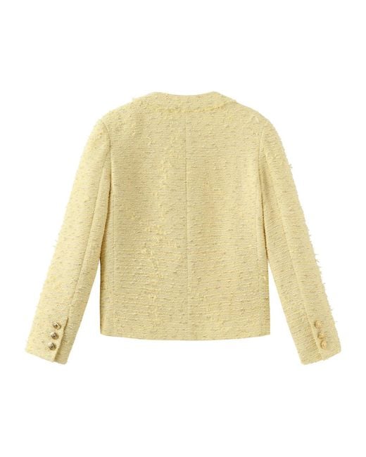 Marissa Chiara Yellow Long-Sleeved Jacket